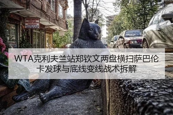 ke-li-fu-lan-zhan-zheng-qin-wen-liang-pan-heng-sao-sa-ba-lun-ka-fa-qiu-yu-di-xian-bian-xian-zhan-shu-chai-jie-3-211.jpg